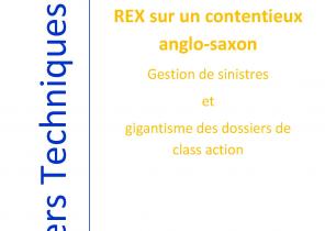 REX sur un contentieux anglo-saxon