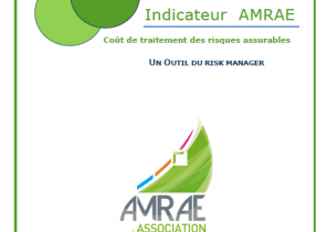 Indicateur AMRAE du coût du traitement des risques assurables